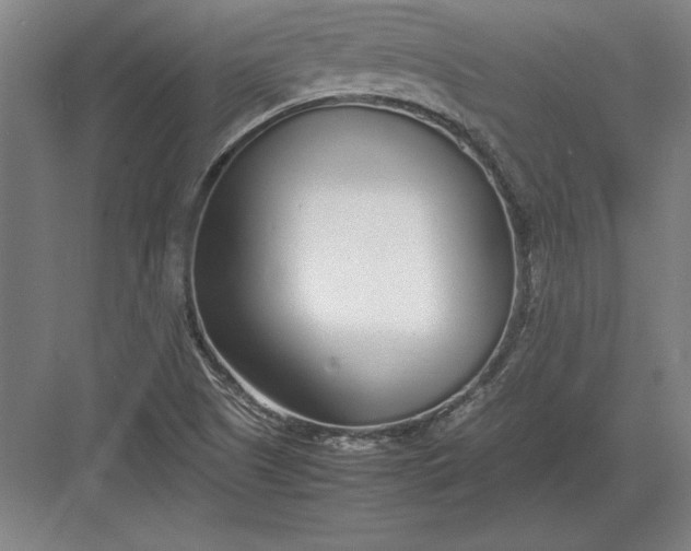 X0000083001505200702160036