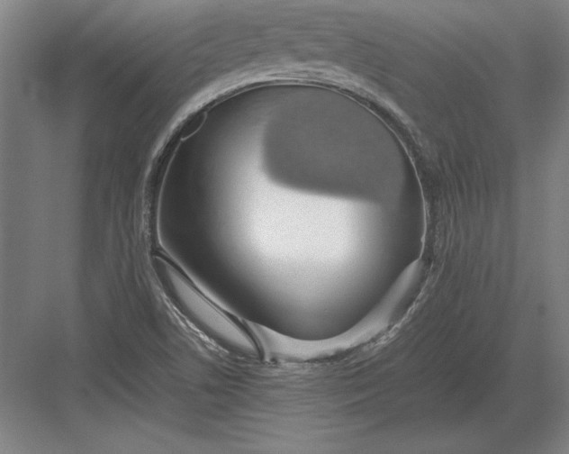 X0000083001506200702160036