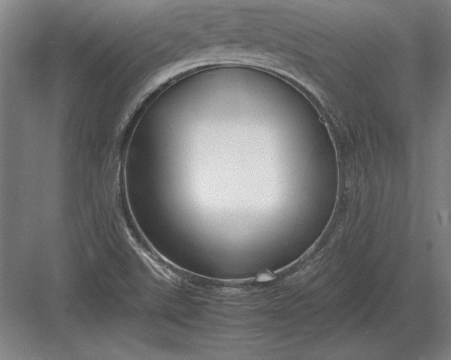 X0000083001507200702160036