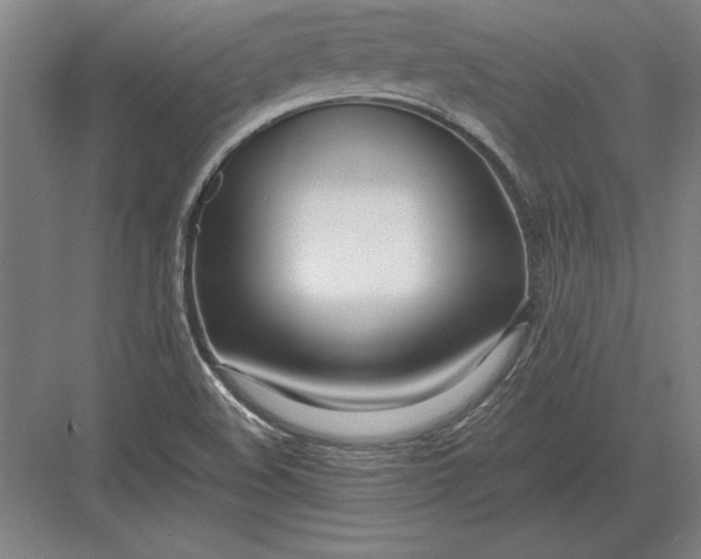 X0000083001508200702160036