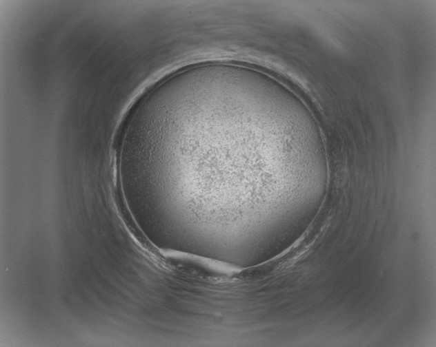 X0000083001509200702160036