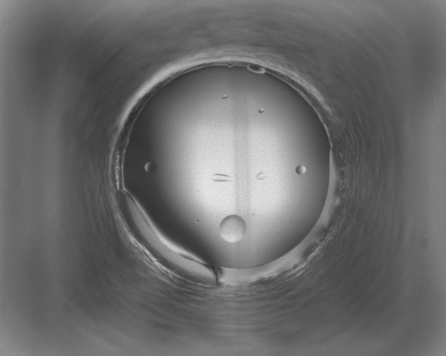 X0000083001510200702160036