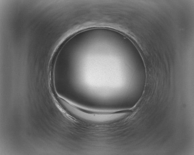 X0000083001511200702160036