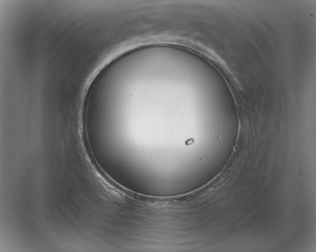 X0000083001512200702160036