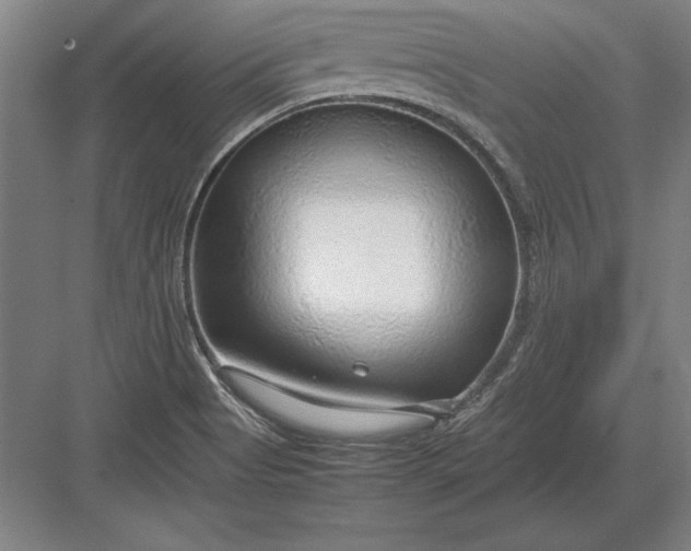 X0000083001513200702160036