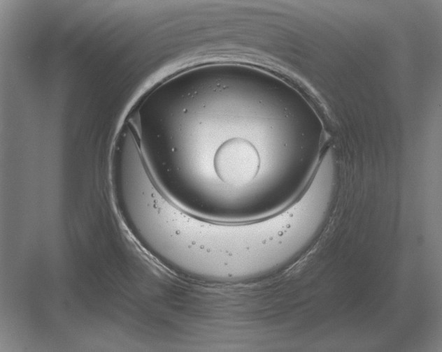 X0000083001514200702160036