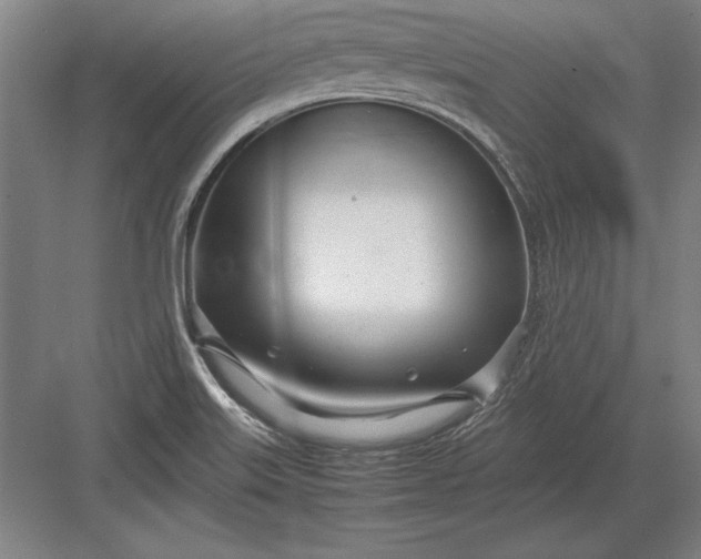 X0000083001515200702160036