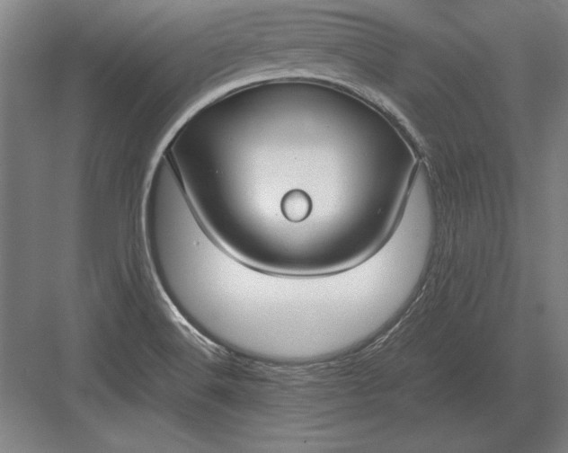 X0000083001516200702160036