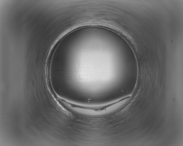 X0000083001517200702160036