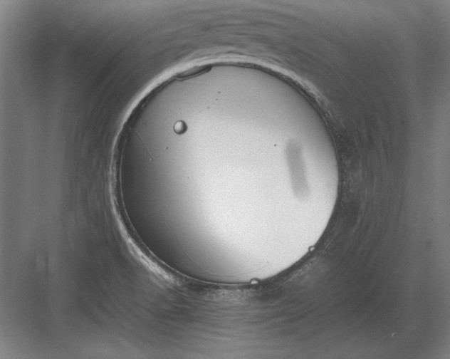 X0000083001518200702160036