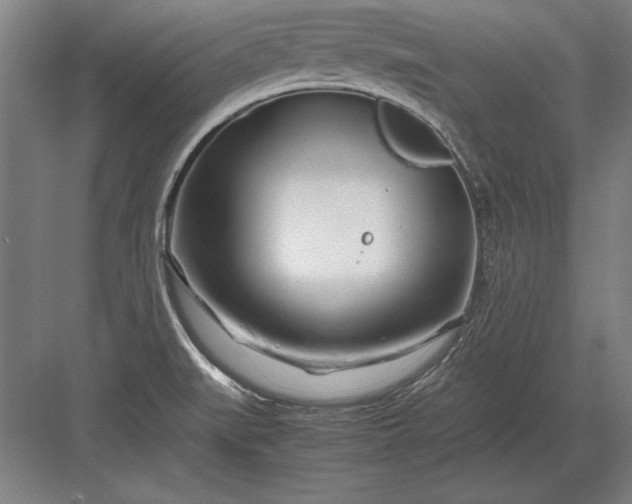 X0000083001519200702160036