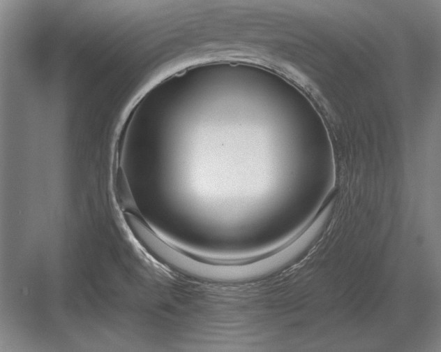 X0000083001520200702160036