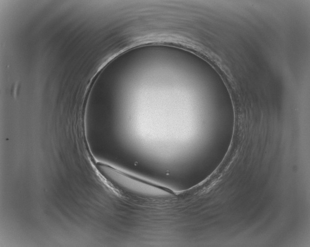 X0000083001521200702160036