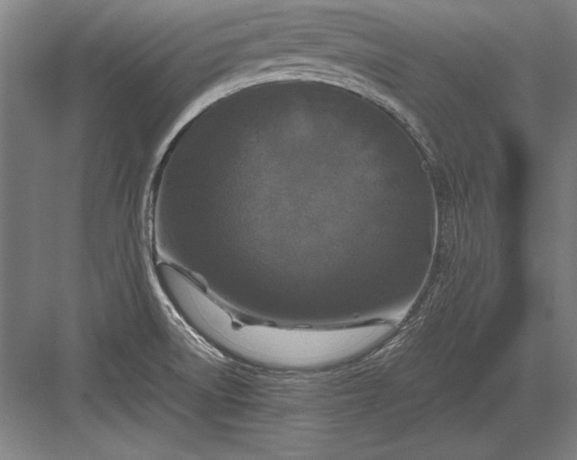 X0000083001522200702160036