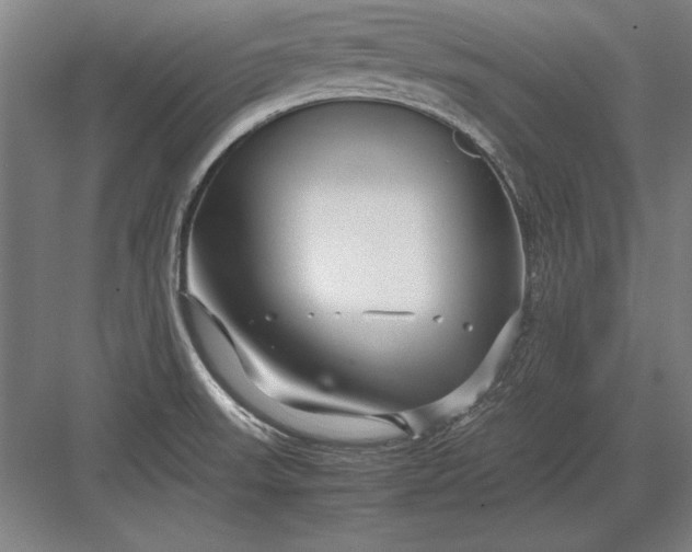 X0000083001523200702160036