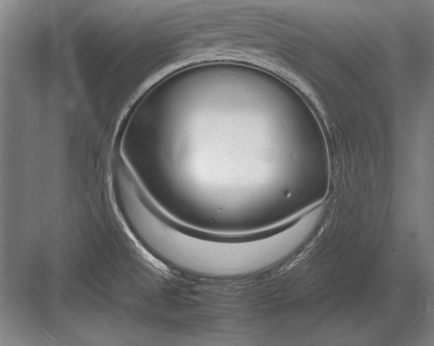 X0000083001525200702160036