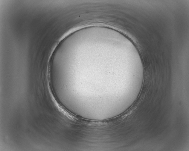 X0000083001526200702160036