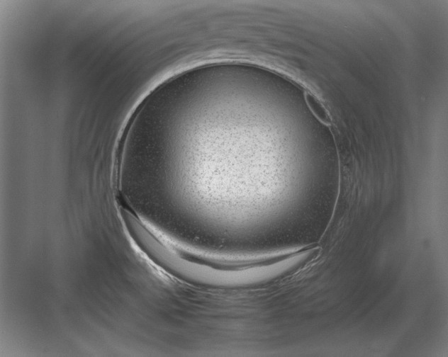 X0000083001527200702160036