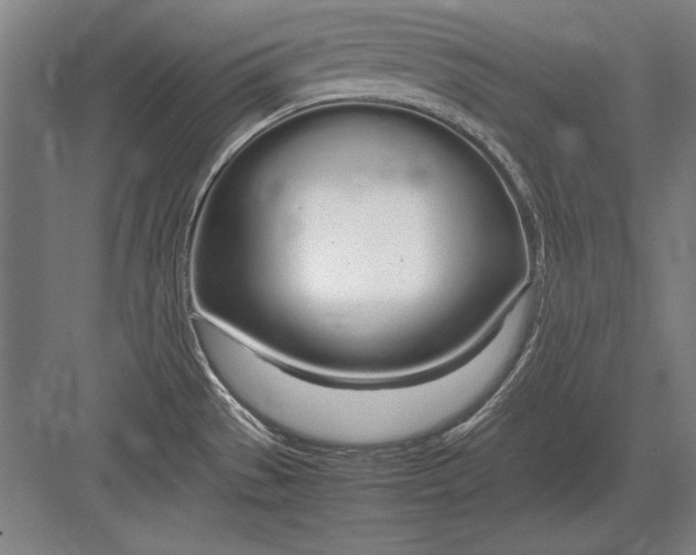 X0000083001529200702160036