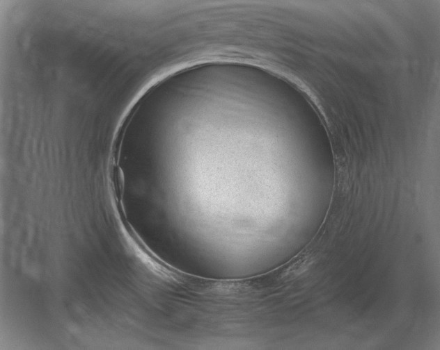 X0000083001531200702160036