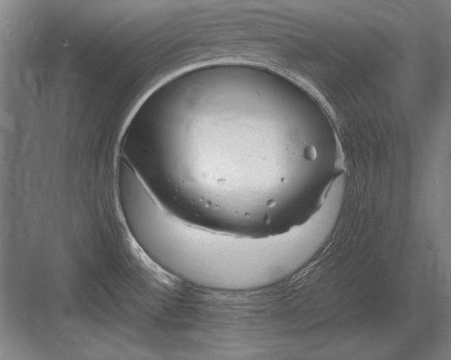 X0000083001532200702160036