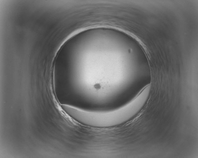 X0000083001534200702160036