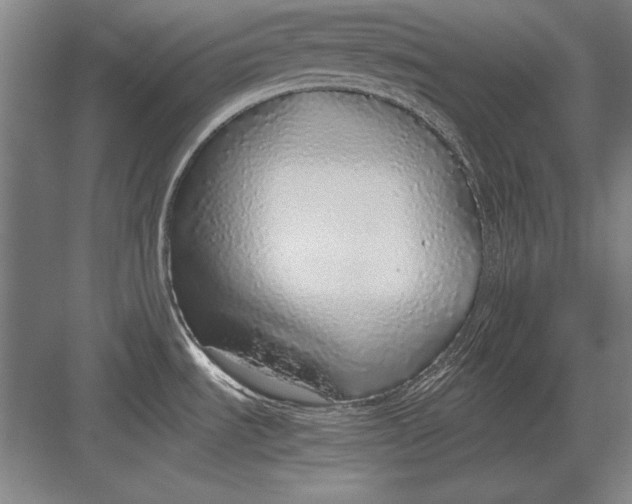 X0000083001535200702160036