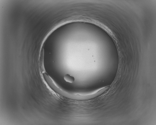 X0000083001536200702160036