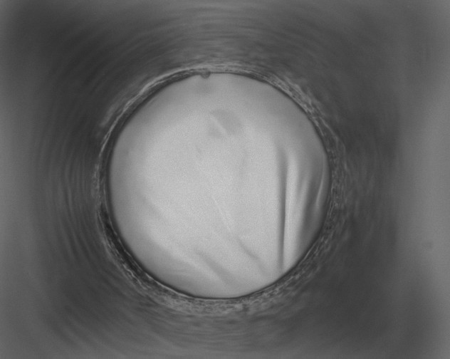 X0000083000002200702230139