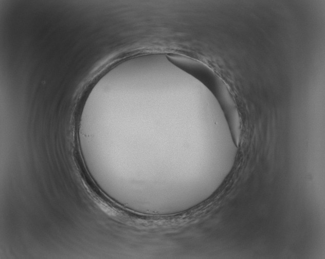 X0000083000005200702230139