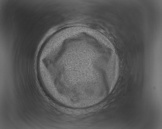 X0000083000006200702230139