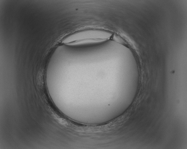 X0000083000009200702230139