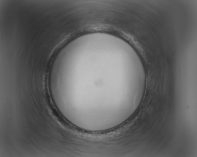 X0000083000010200702230139