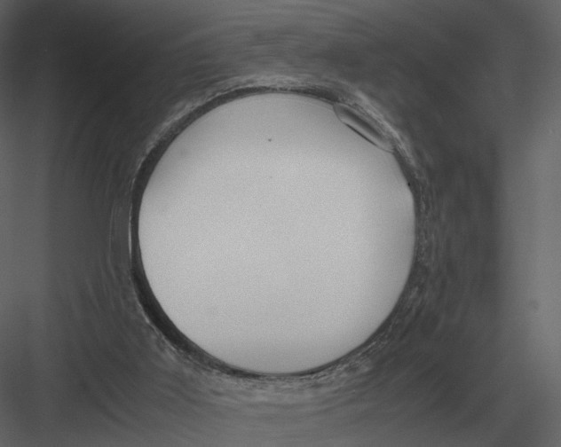 X0000083000011200702230139