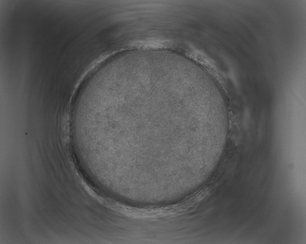 X0000083000012200702230139