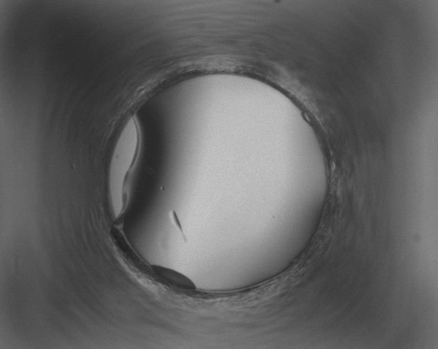 X0000083000013200702230139