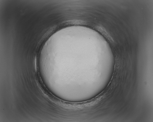 X0000083000014200702230139