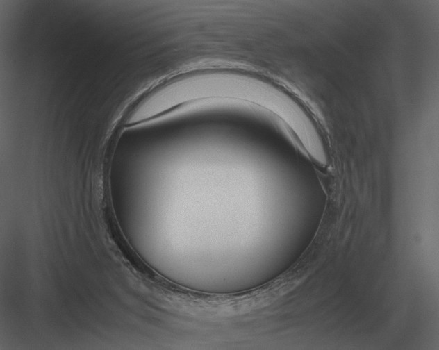 X0000083000015200702230139