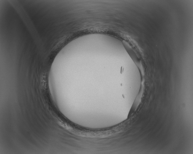 X0000083000017200702230139