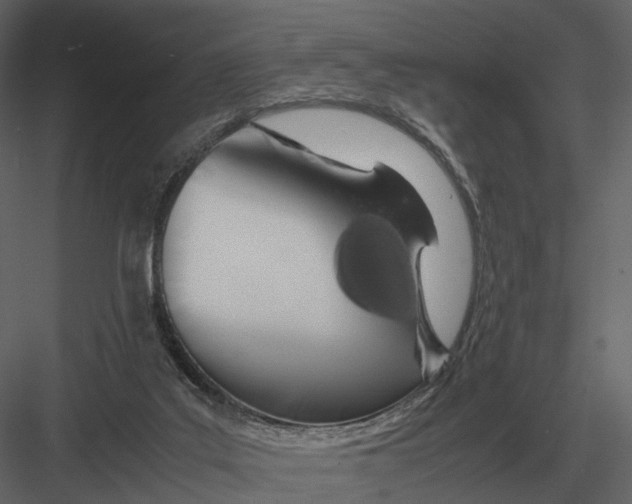 X0000083000019200702230139