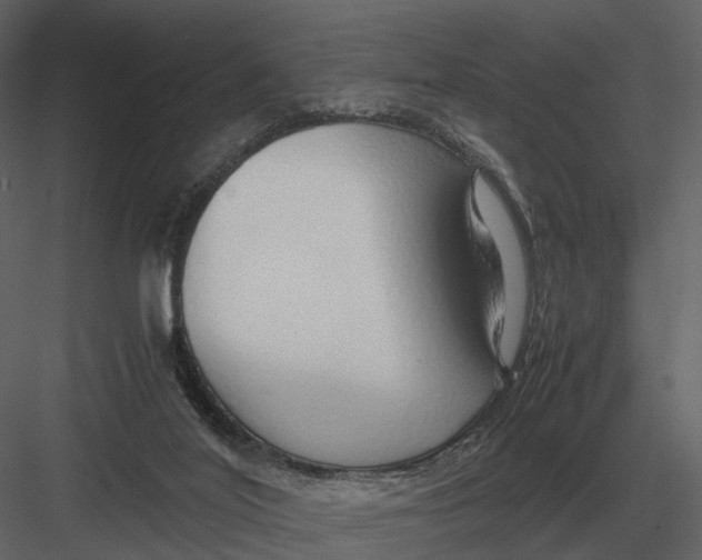 X0000083000020200702230139