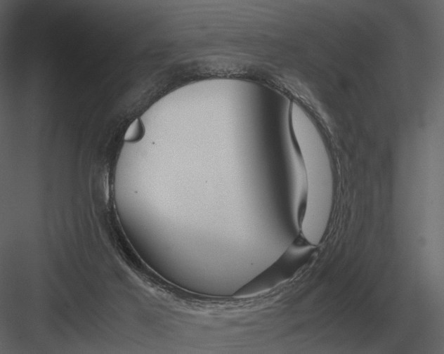 X0000083000021200702230138