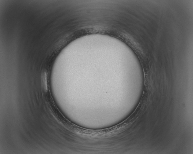 X0000083000022200702230138