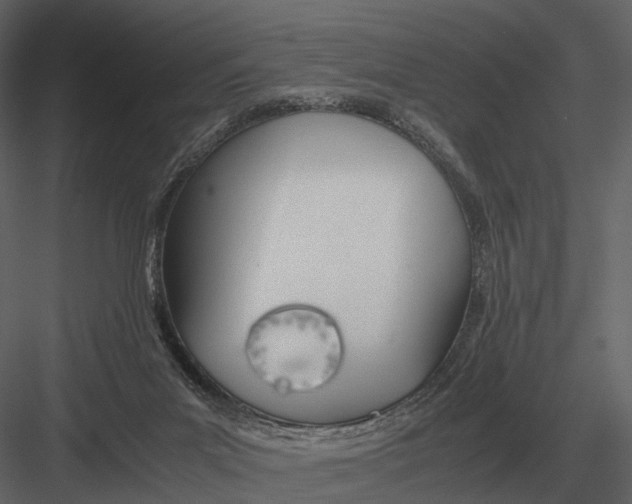 X0000083000023200702230138