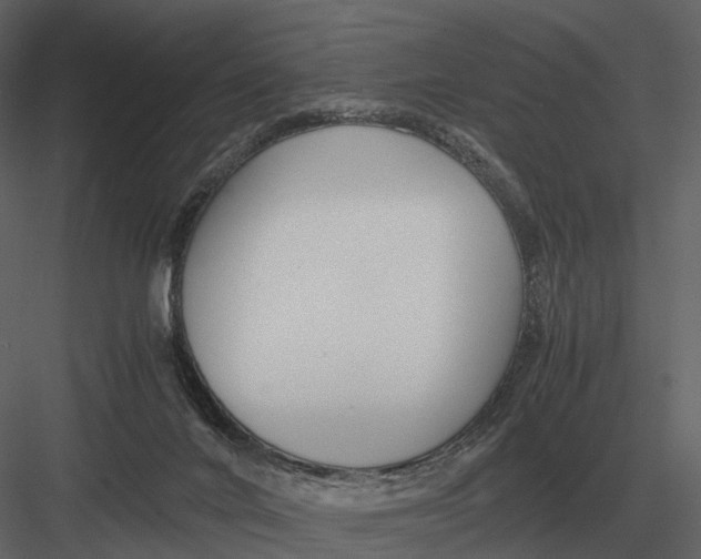 X0000083000024200702230138