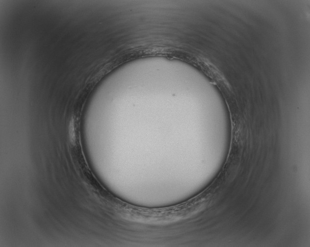 X0000083000026200702230138