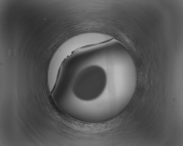 X0000083000027200702230138