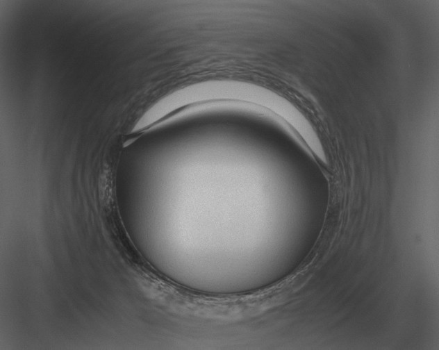 X0000083000029200702230138