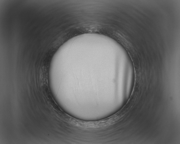 X0000083000030200702230138