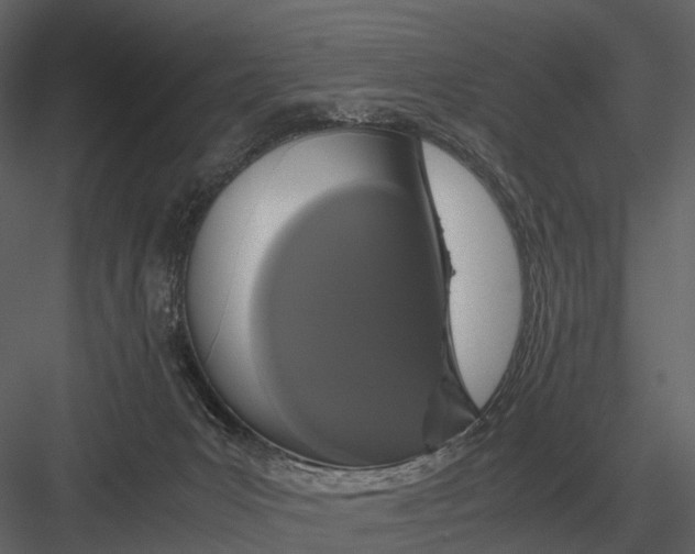 X0000083000031200702230138